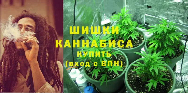 где можно купить   Всеволожск  Канабис LSD WEED 